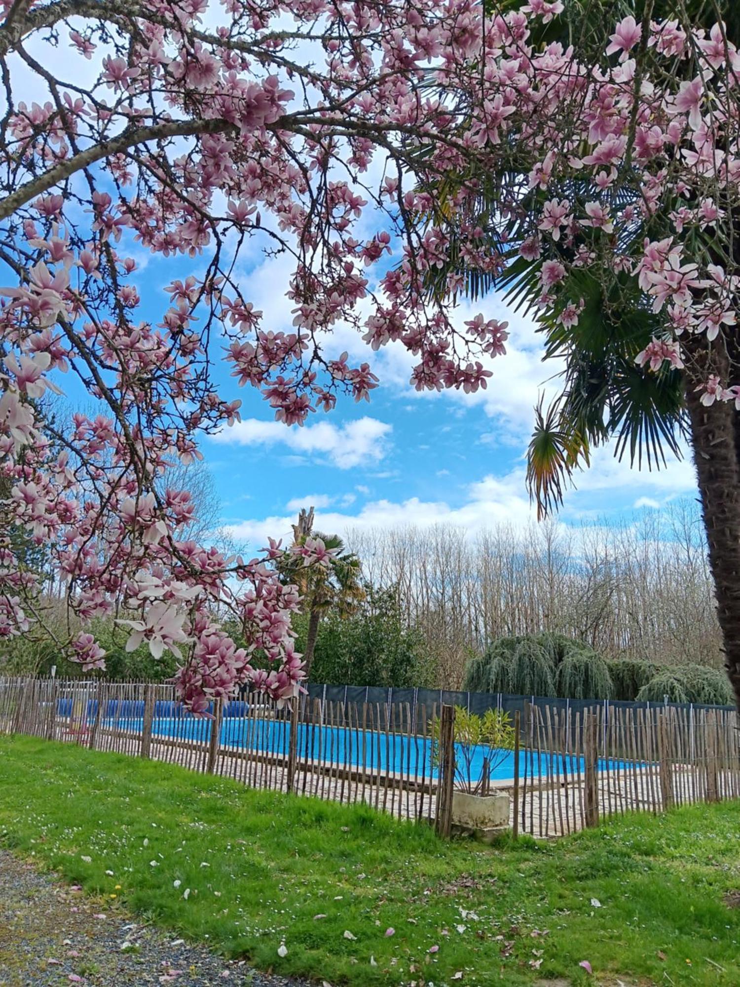 Gite Au Moulin Du Comte Bourrouillan Exteriér fotografie